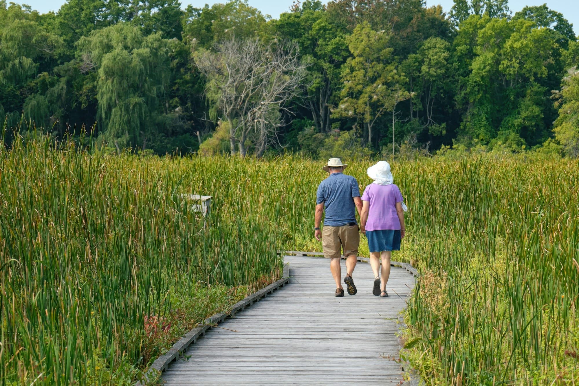 Two older adults walk away along a wooden boardwalk through tall green grass toward trees